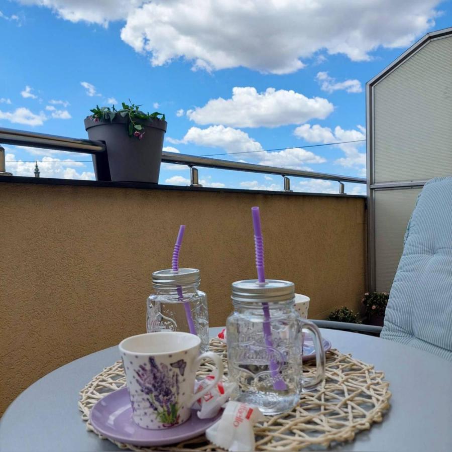Soul Stan na dan Apartment Novi Sad Bagian luar foto